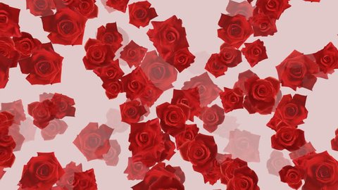Rose flower backgrounds Stock Video