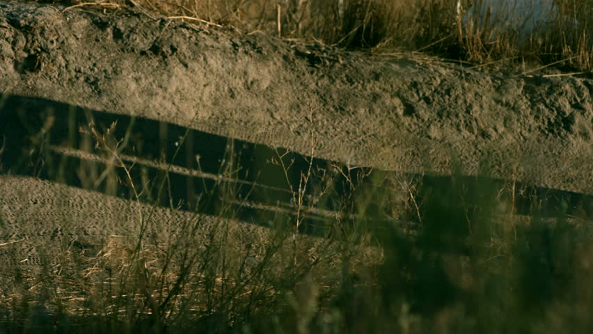 Dirt flies behind mountain biker, slow motion