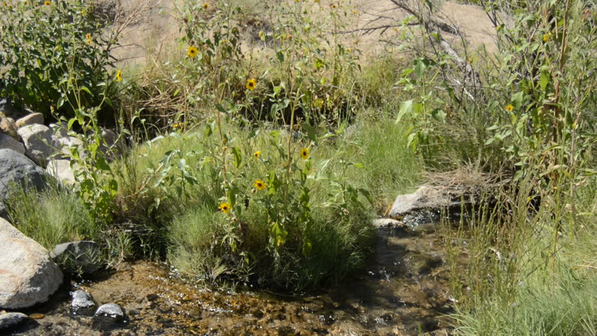 Hot Springs in California