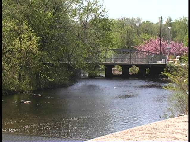 River with bridge in spring with blooming trees