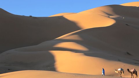 Desert merchant in local Touareg clothing walking with camel train in the Sahara Desert, Morocco, Africa