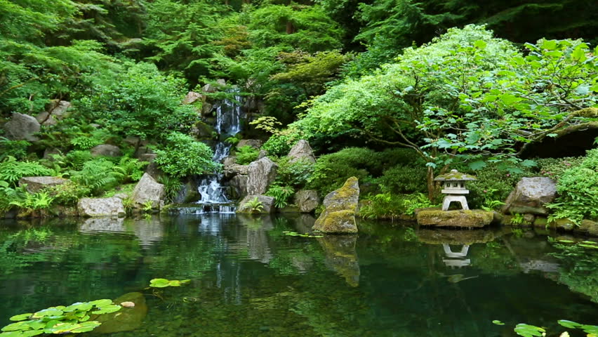 Japanese botanical zen garden Royalty-Free Stock Footage #4636919