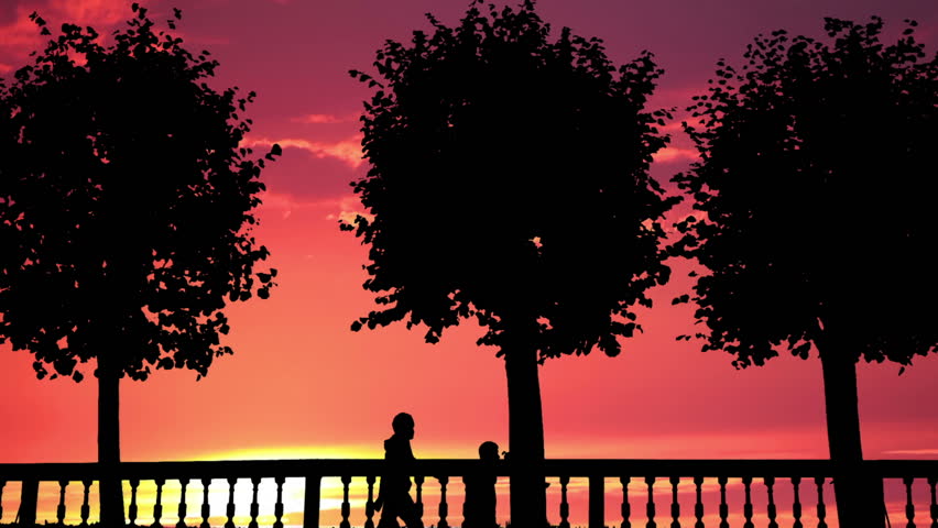 Silhouettes of trees and people on the sunset background. Timelapse