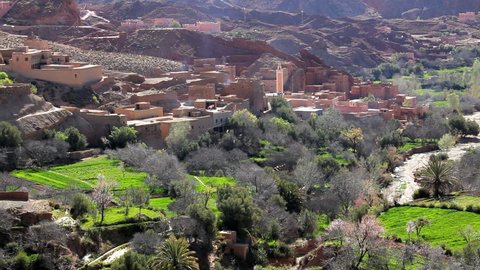 Local Village oasis with forests and gardens in Dades Valley, Dades Gorge, Morocco