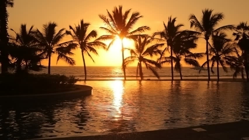 Tropical resort at sunset | Shutterstock HD Video #4649954