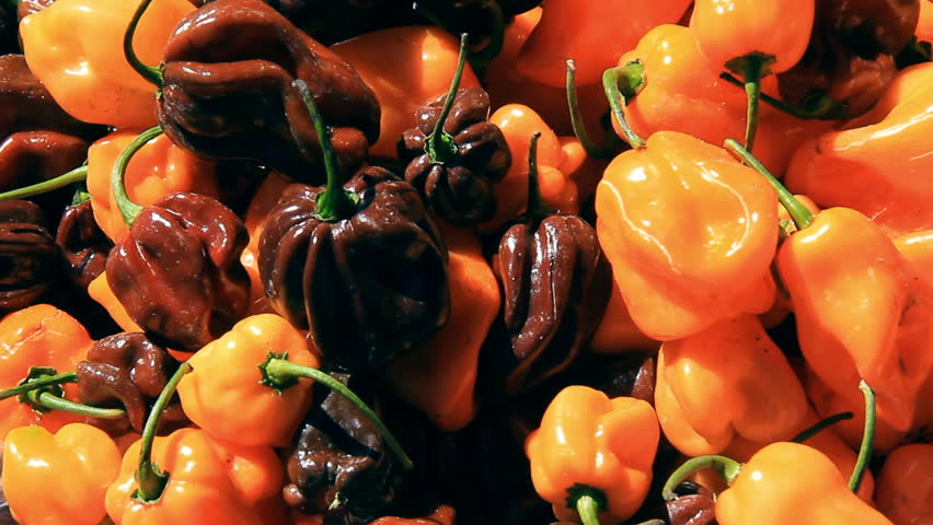 Habanero Chili Peppers 1. Spicy hot habanero chili peppers in a basket at a