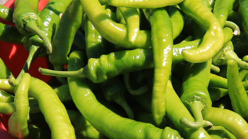 Spicy Green Peppers 1. Freshly picked spicy green peppers in a bucket at a