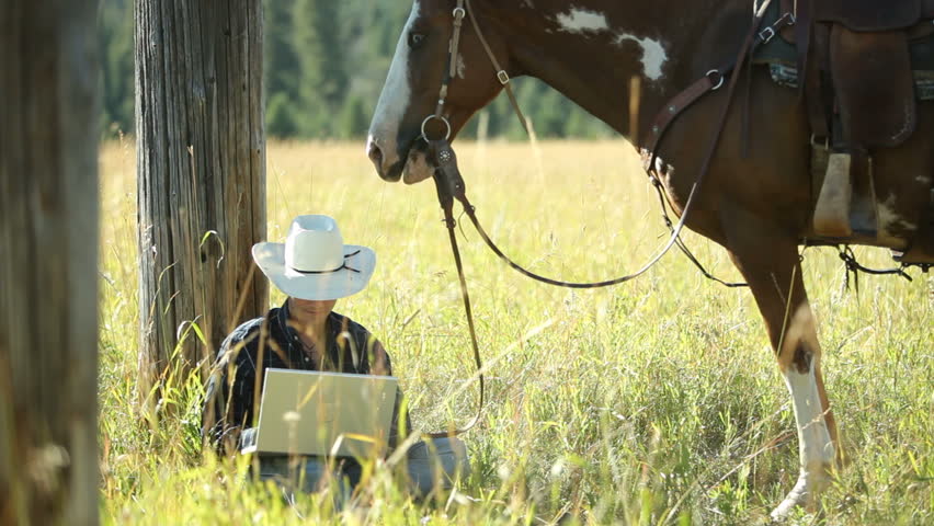 computer horse