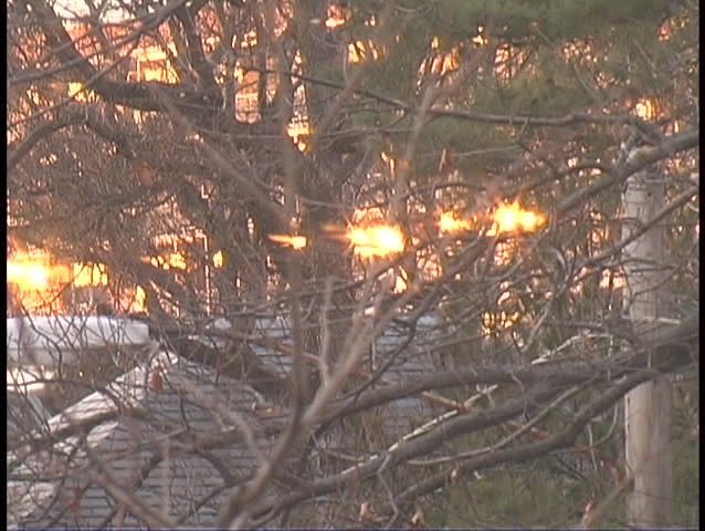 Sunset and clouds through winter trees