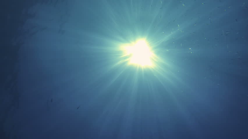 Underwater View of Sun with Swimmer and a Flock of Fish