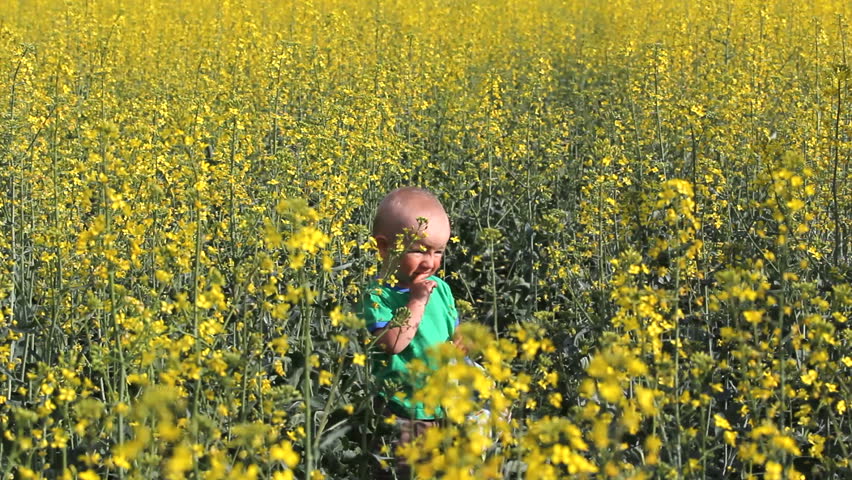 Young mother walk to baby stay alone in flourish field and put cap on baby head