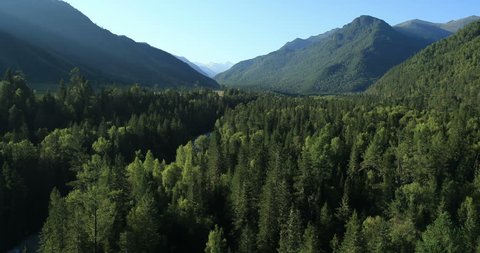 Aerial View. Flying over the beautiful mountain River and beautiful forest. Aerial camera shot. Landscape panorama. Altai, Siberia.