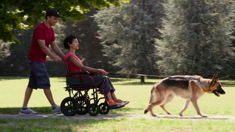 10of15 Married couple, family life and pet, man and disabled woman on wheelchair with alsatian dog relaxing in park