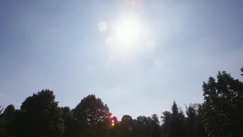 3of15 People working as dog-sitter, girl with alsatian dogs in park. Dog walking, wide shot
