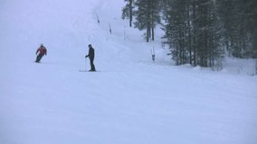 The snowboarder goes down on a slope of mountain on a background of a pine wood and falls, making a fountain of snow. During shootings video the snowboarder and his equipment have not suffered