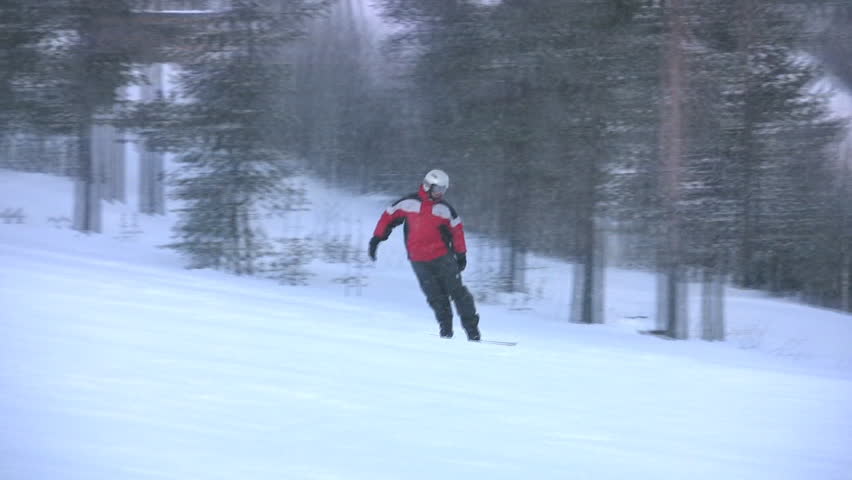 The snowboarder goes down on a slope of mountain on a background of a pine wood