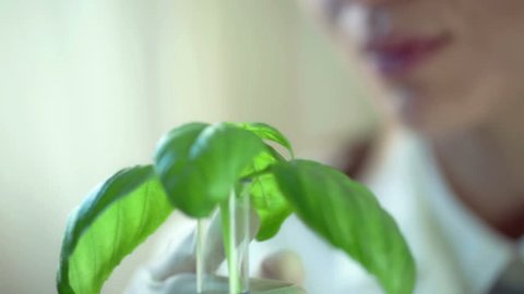 Female biologist examine plant in test tube
