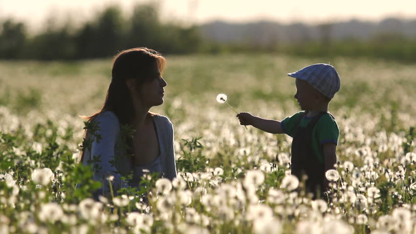 Sweet baby hold a dandelion in his hands give to mother, at sunset
