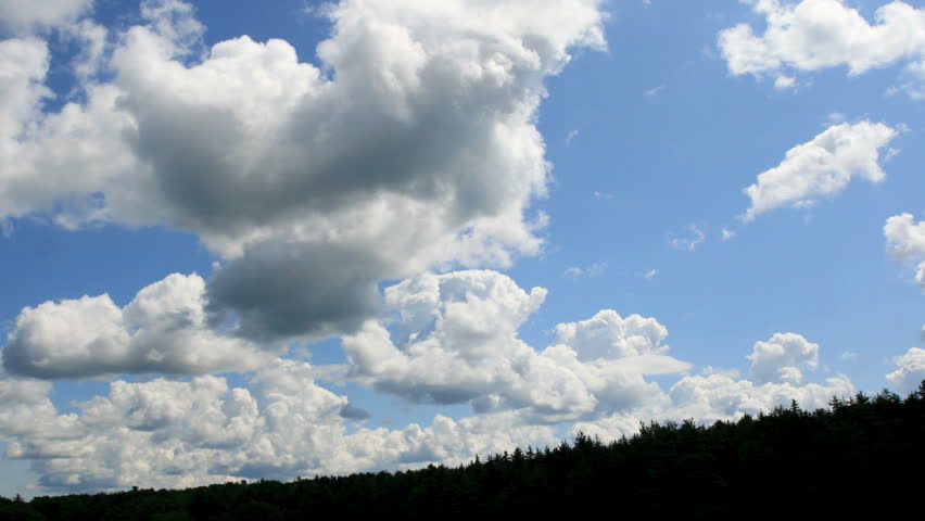 Fast moving clouds over a pine forest.