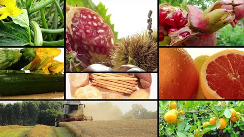 harvest and agricultural products, collage