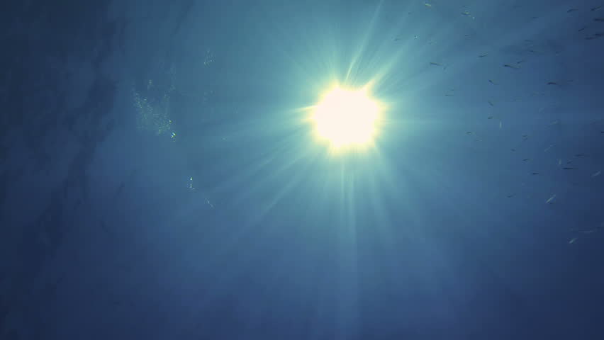 Underwater View of Sun
