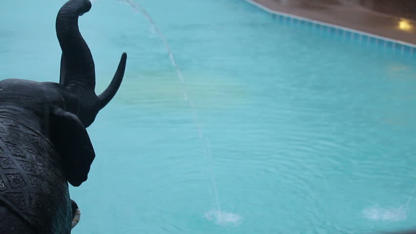raining and elephent near pool