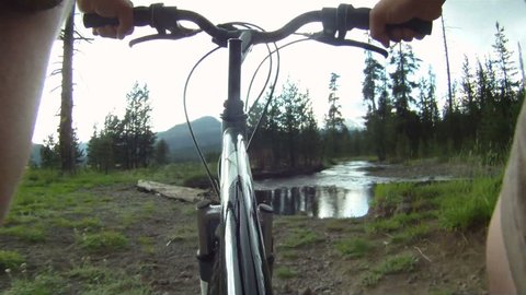 Bicycling in forest Stock Video