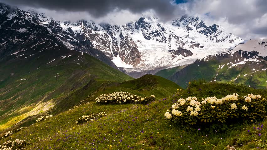 Time lapse clip. Alpine meadows at the foot of  Mt. Shkhara. Upper Svaneti,