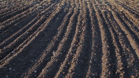 Close up. Ploughed field. Plowed field. Background.