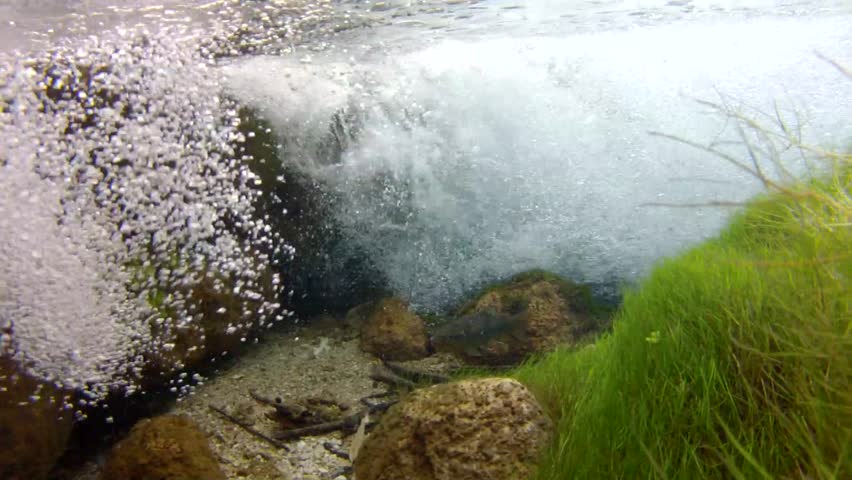 Fish swimming below waterfall in clear brook