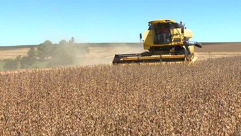 machine harvesting soybeans in a farm with a road in background