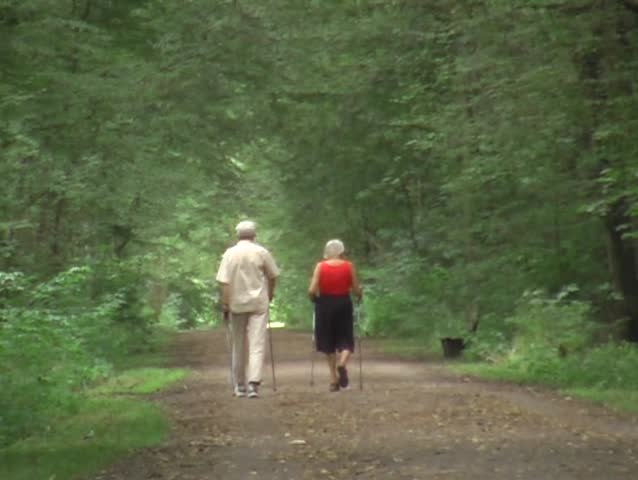 forest walk