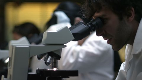 Students in a chemistry lab look through a microscope during their experiments and review the results