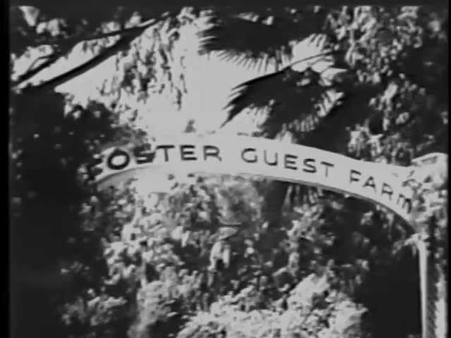 Rear view of young couple entering guest farm