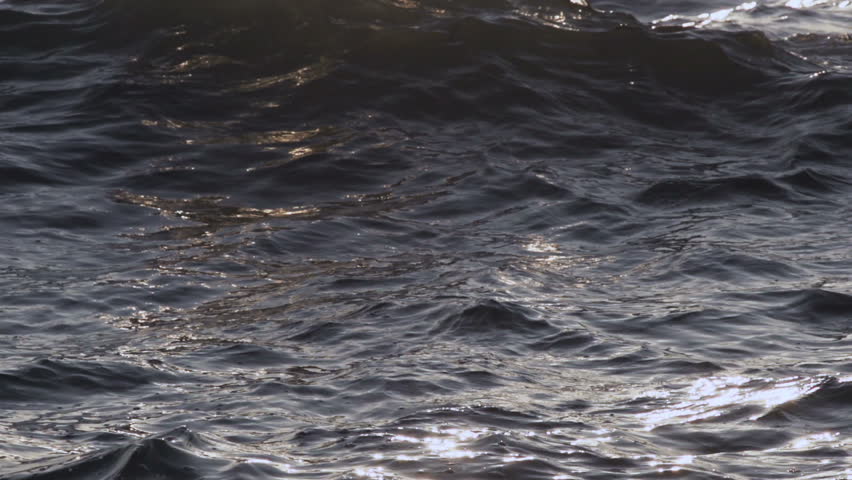 Slow motion. waves from the sea.