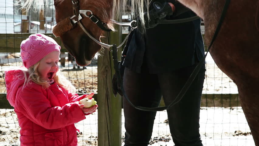 a little girl feeding a horse apples on nature in winter
