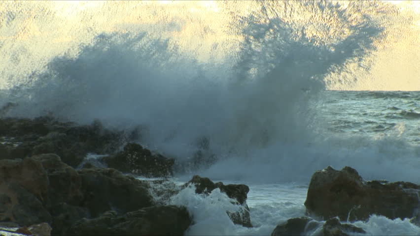 Waves fight about rocks in Black sea for a background