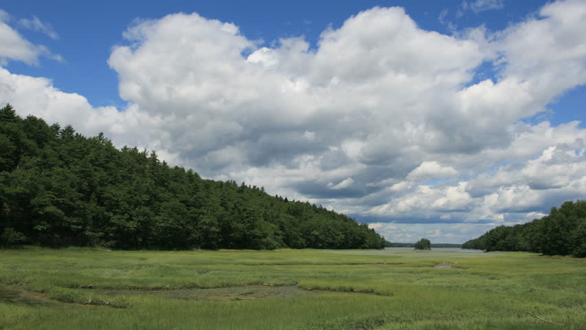 An idyllic salt marsh in Maine.