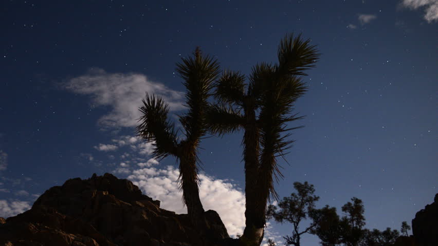 Astrophotography Time Lapse -Joshua Tree under Moonlight- Zoom Out