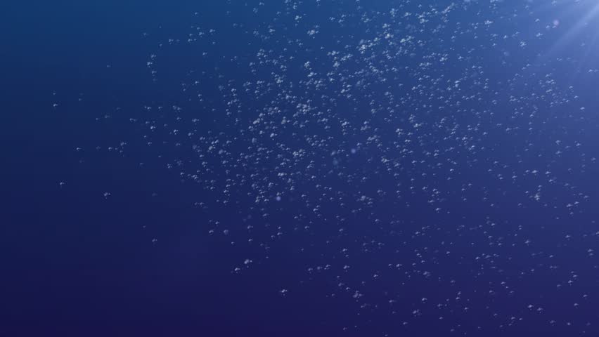 Underwater Bubbles Animated background