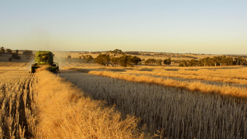 WAGIN, AUSTRALIA - NOVEMBER 20 2012: The sun setting on an Australian farmer