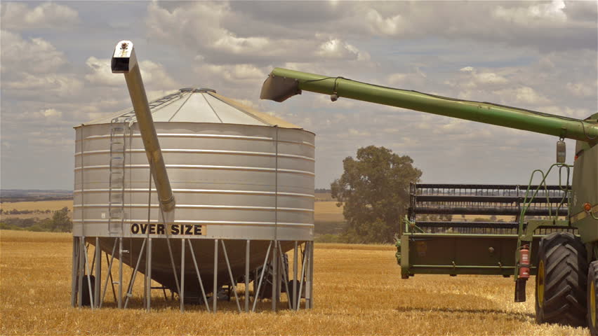 WAGIN, AUSTRALIA - NOVEMBER 26 2012: A header offloading a load of oats into a