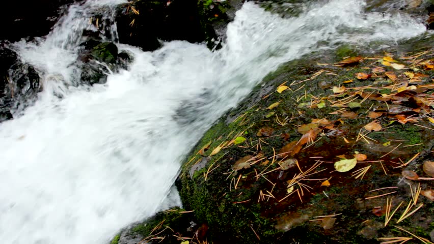 A river flows over rocks in this beautiful scene in autumn forest