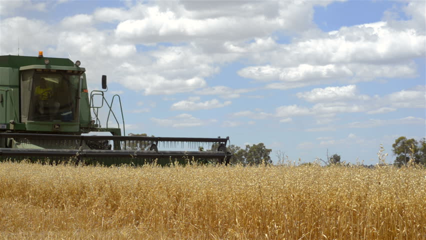 WAGIN, AUSTRALIA - NOVEMBER 26 2012: A combine harvester (header) harvesting an