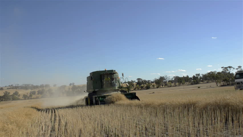 WAGIN, AUSTRALIA - NOVEMBER 20 2012: An Australian farmer harvesting a canola