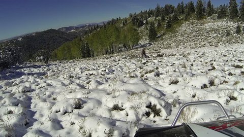 Hunter hiking up mountain in snow during deer season. Early snow blanket high mountain forest. Annual fall deer hunt activity and recreation. Harvesting fresh meat for winter. Friends walking hiking.