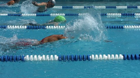 Swimming competition วิดีโอสต็อก