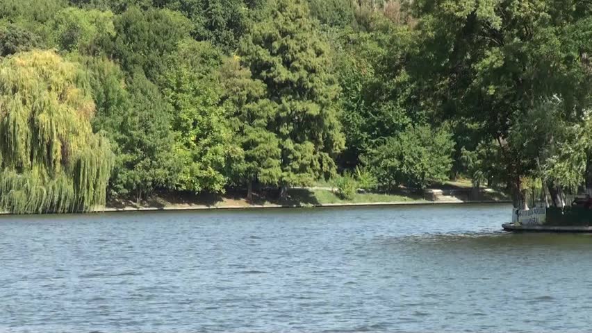 Autumn lake with trees