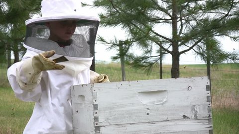 Kid in bee suit looking into and inspecting a honey bee hive