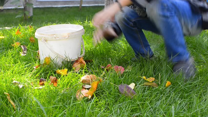 Family kid collecting, picking leaves in garden - Stock Video. Low angle view of